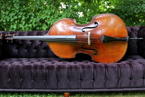 Upright,Bass,(double,Bass),Lying,On,Sofa,Outside,In,The Upright,Bass,(double,Bass),Lying,On,Sofa,Outside,In,The